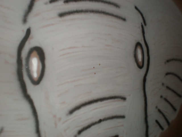 PRGC elephant